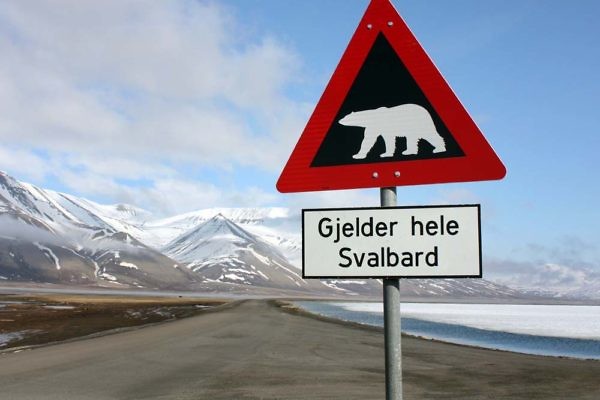 danger-polar-bear-sign-svalbard
